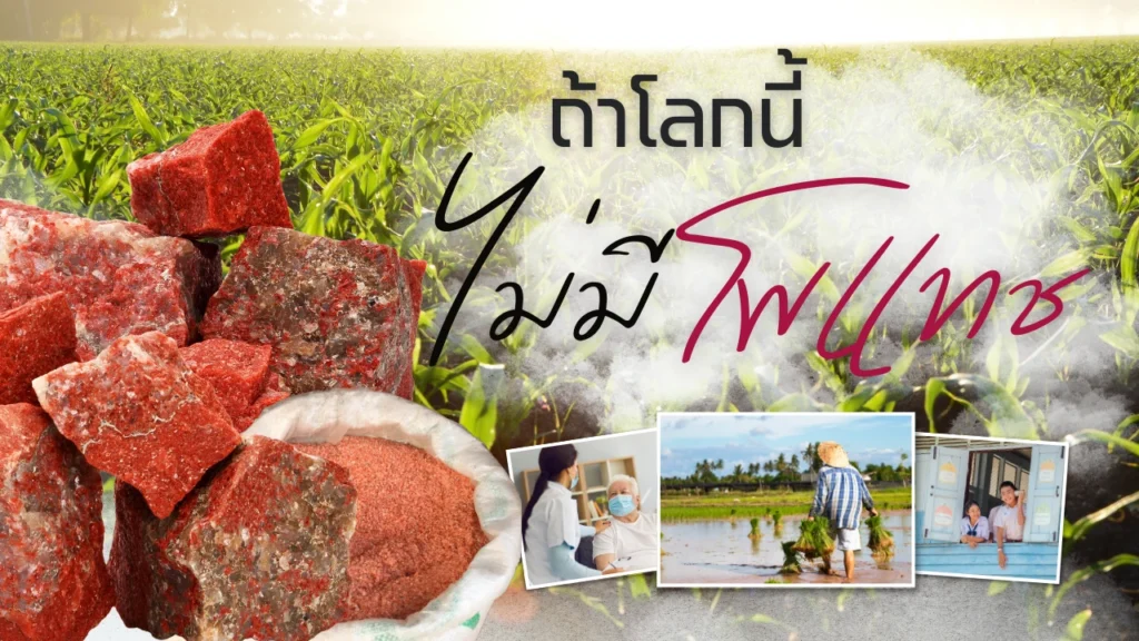 หากโลกนี้ ไม่มีโพแทช หากโลกนี้ ไม่มีโพแทช