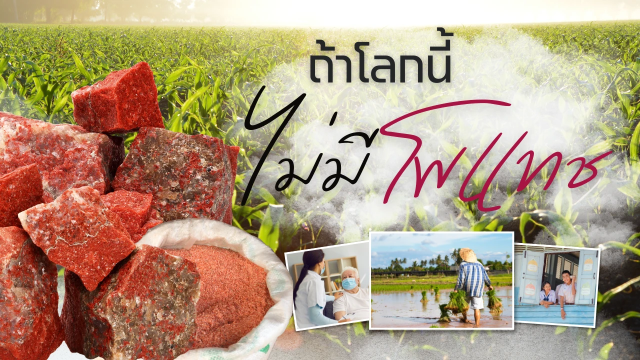 หากโลกนี้ ไม่มีโพแทช